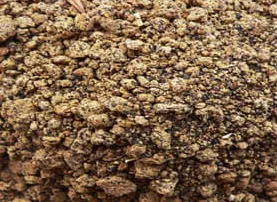 SİN TARIM ÜRÜNLERİ LOJİSTİK SANAYİ VE TİC.LTD.ŞTİ